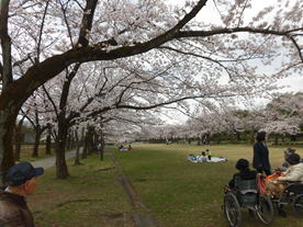 写真_デイサービス麻の葉の様子2